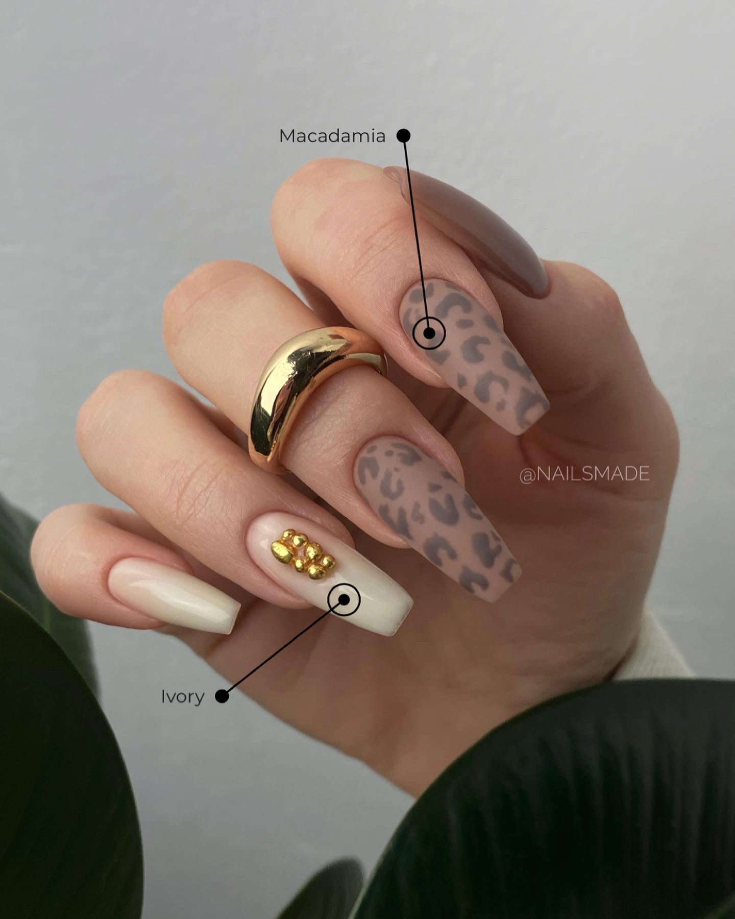 MACADAMIA Tinted Base 15ml