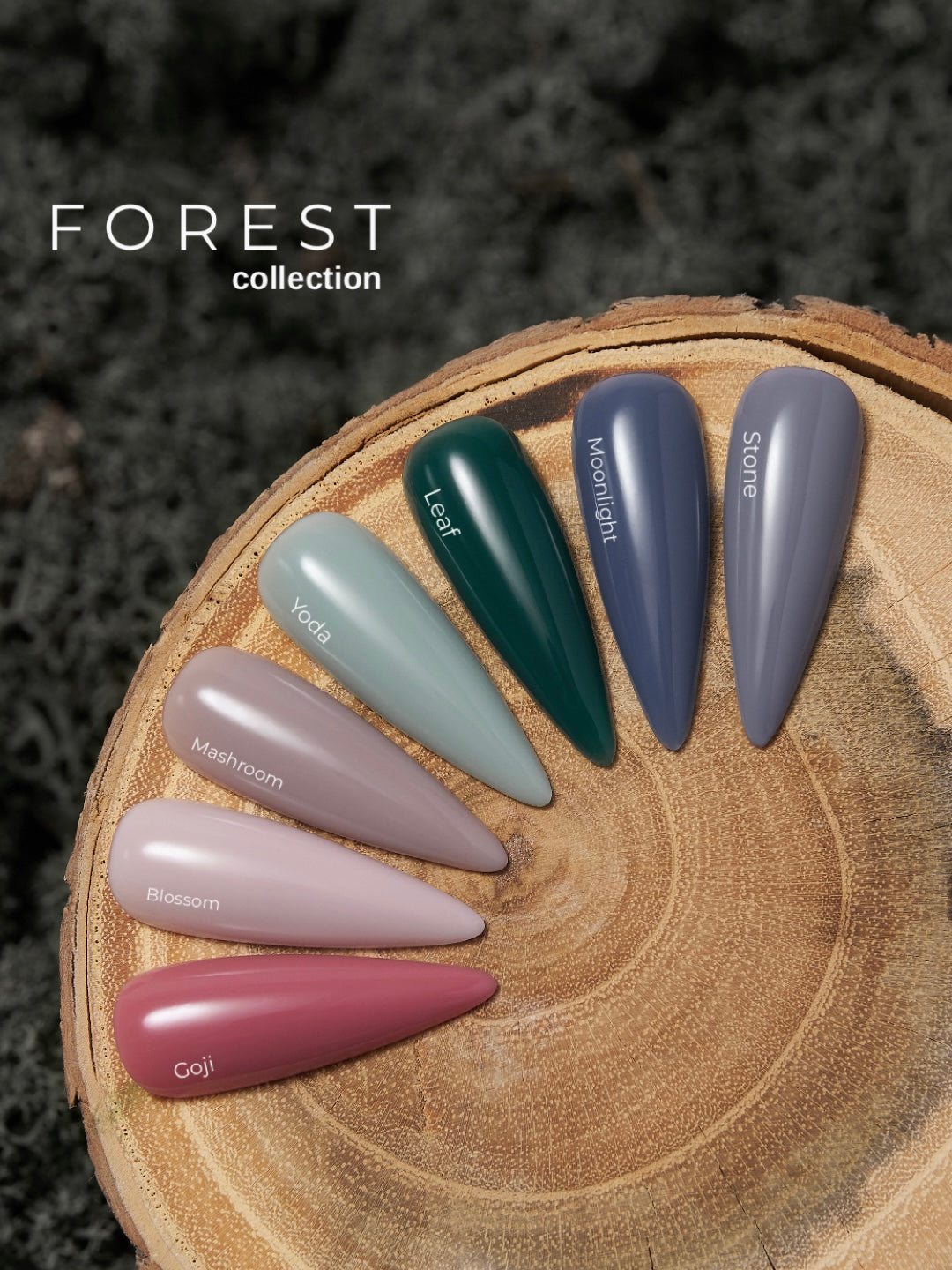 Forest Collection